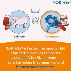 NORTASE Kapseln vegetarische Verdauungsenzyme, 50 St