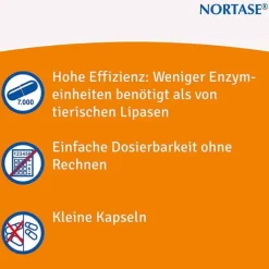 NORTASE Kapseln vegetarische Verdauungsenzyme, 20 St