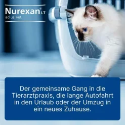 Nurexan LT ad us. vet. Tabletten, 500 St