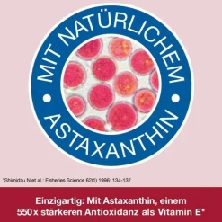 Omega 3-Loges plus Kapseln, 60 St