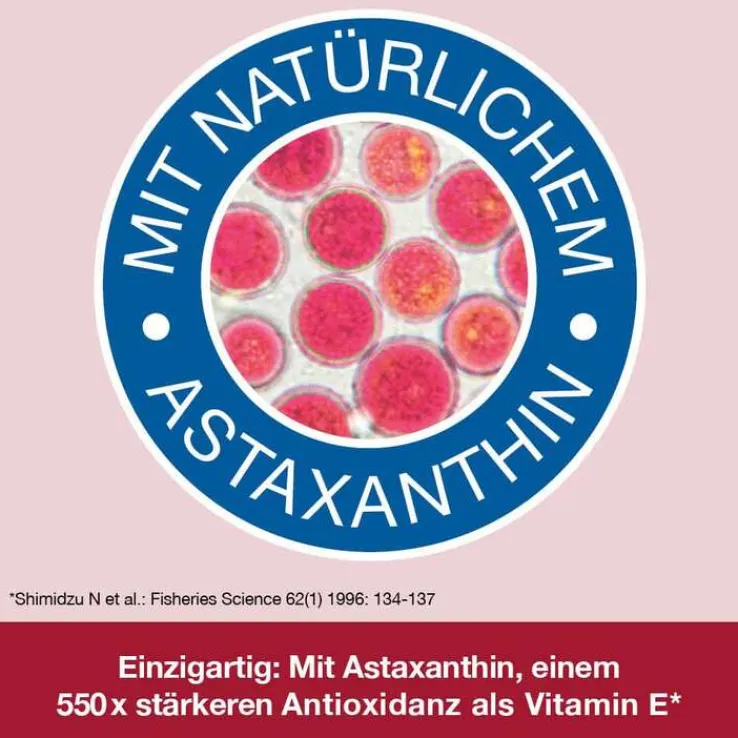 Omega 3-Loges plus Kapseln, 60 St
