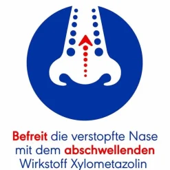 Otriven SinuSpray 0,1 % Nasenspray, 10 ml