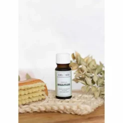 Propolis Nagelpflege, 10 ml