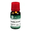 Pulsatilla Arcana LM 18 Dilution, 10 ml