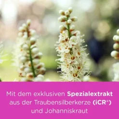 remifemin® PLUS Johanniskraut , 60 St