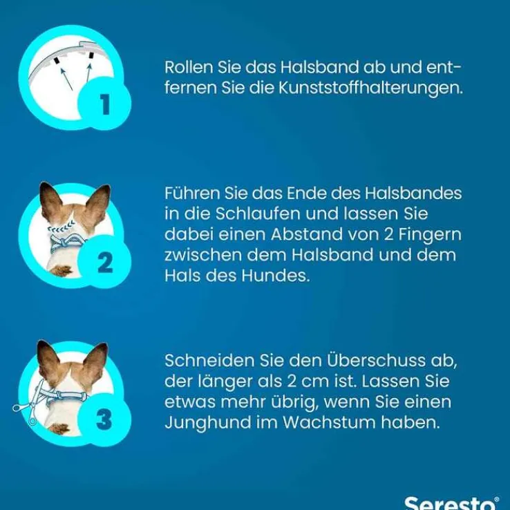 Seresto Halsband für große Hunde über 8 kg, 1 St