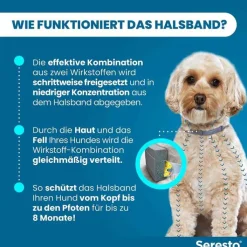 Seresto® Halsband für kleine Hunde bis 8 kg, 1 St