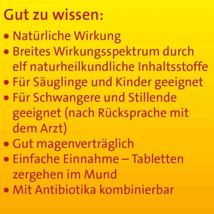 Sinusitis Hevert Tabletten, 100 St