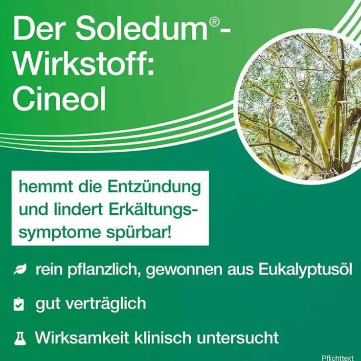 Soledum Kapseln, 100 St