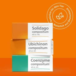 Solidago compositum ad us. vet. Ampullen, 10 St
