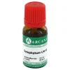 Symphytum Arcana LM 6 Dilution, 10 ml