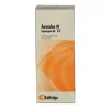 Synergon 13 Aesculus N Tropf, 50 ml