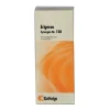Synergon 108 Erigeron Tropfe, 50 ml