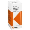 Synergon 15 Teucrium Urtinkt, 50 ml