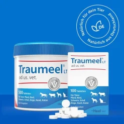 Traumeel LT ad us.vet.Tabletten, 250 St