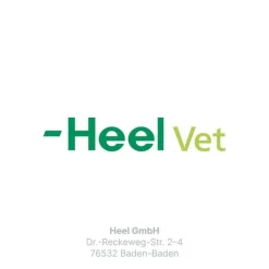 Traumeel LT ad us.vet.Tabletten, 500 St