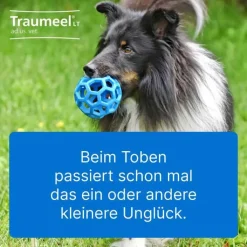 Traumeel LT ad us.vet.Tabletten, 100 St