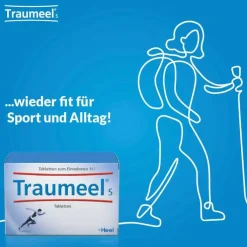 Traumeel S Tabletten, 250 St