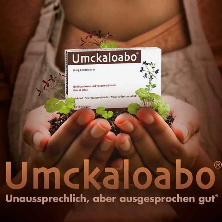 Umckaloabo® 20 mg Filmtabletten, 30 St