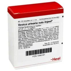 Vesica urinaria suis-Injeel Ampullen, 10 St