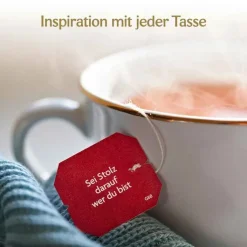 Yogi Tea Ingwer Orange + Vanille Bio, 17X1.8 g
